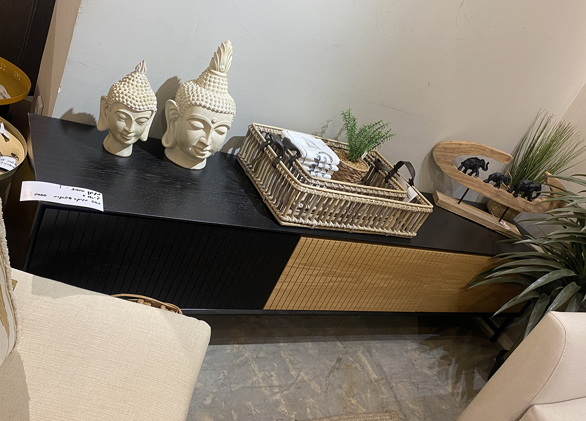 מזנון דגם ליאו