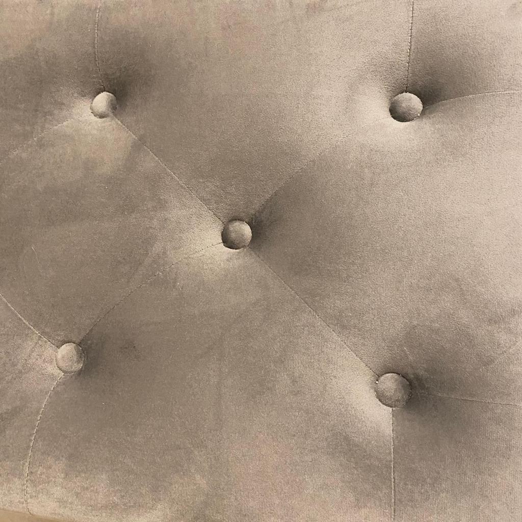 הדום וונדי אפור