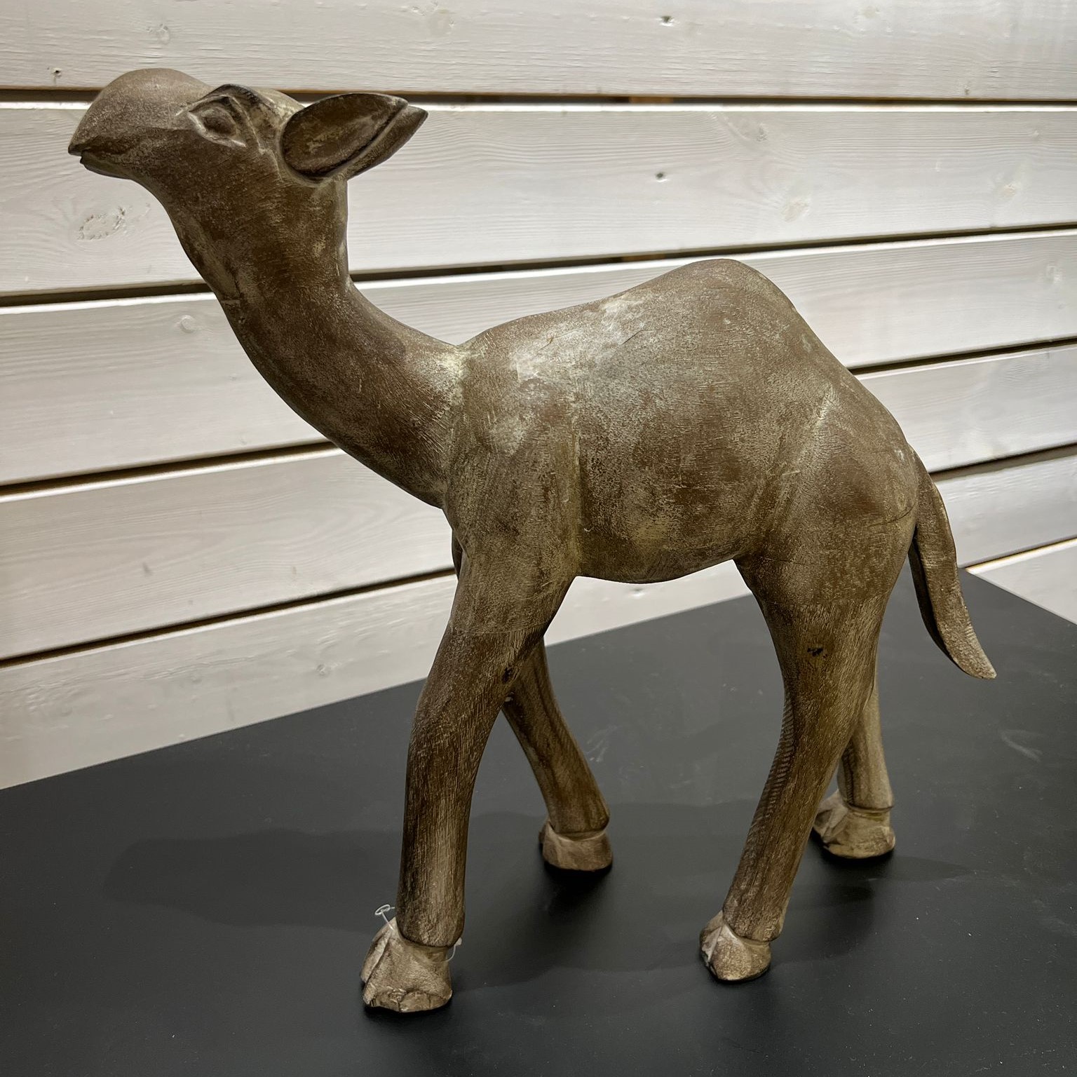 גמל עץ דגם אמבסדור גמל עץ דגם אמבסדור