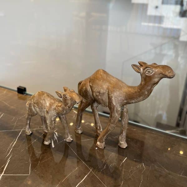 גמל עץ דגם אמבסדור