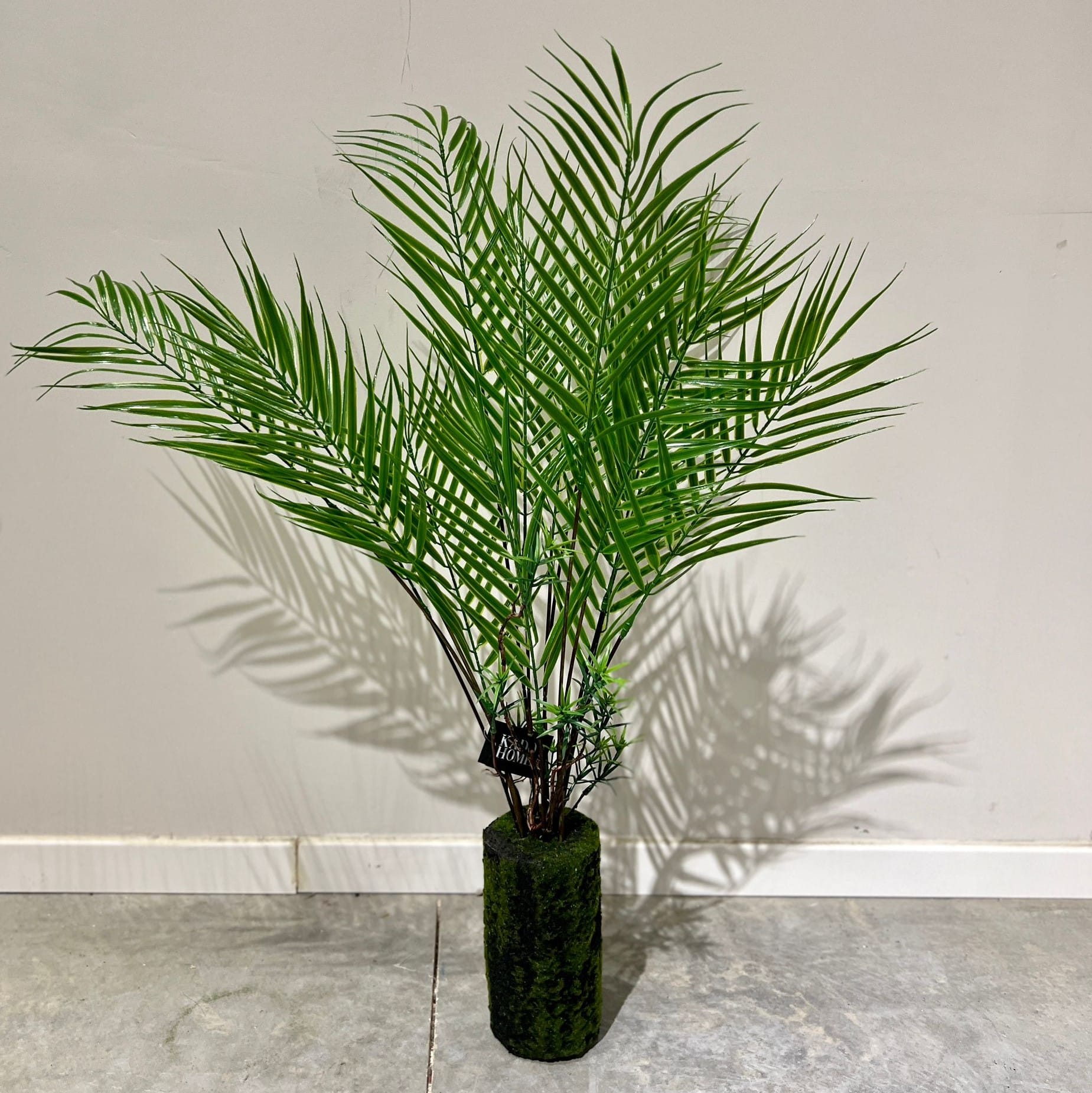 עציץ דקל עדין בסיס ירוק דשא דגם איקו עציץ דקל עדין בסיס ירוק דשא דגם איקו