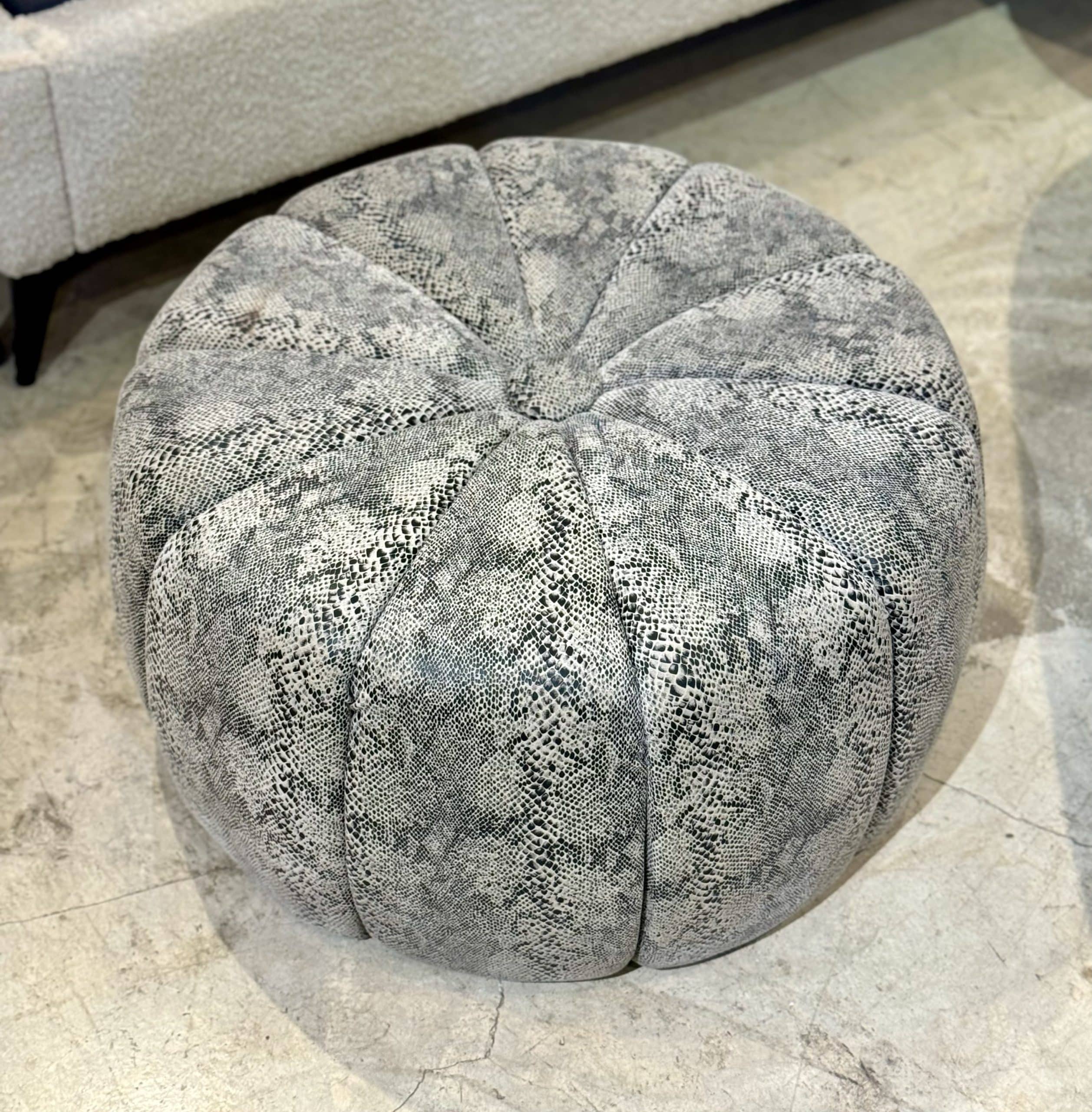 הדום אפור קפיטונז הדום אפור קפיטונז