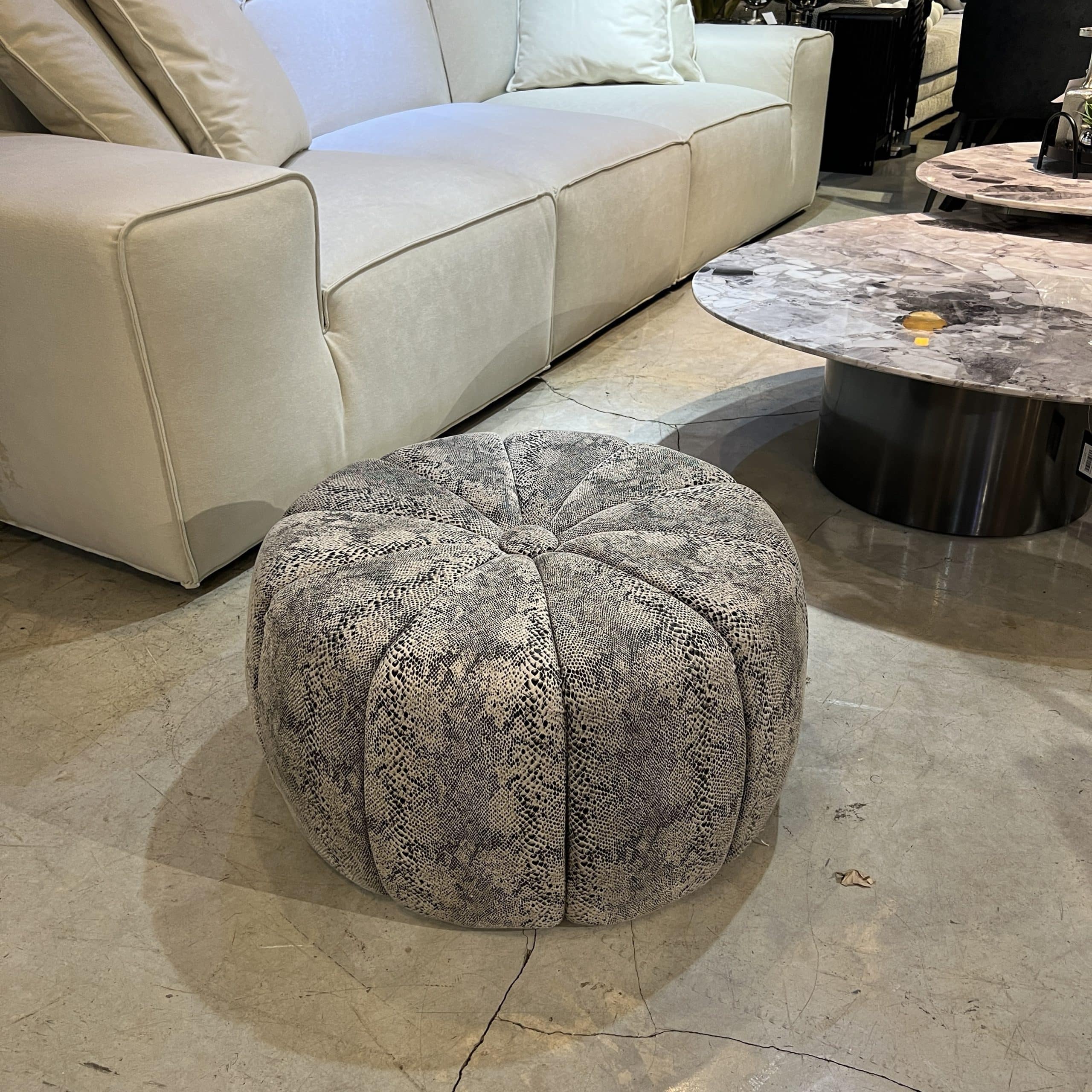 הדום אפור קפיטונז הדום אפור קפיטונז