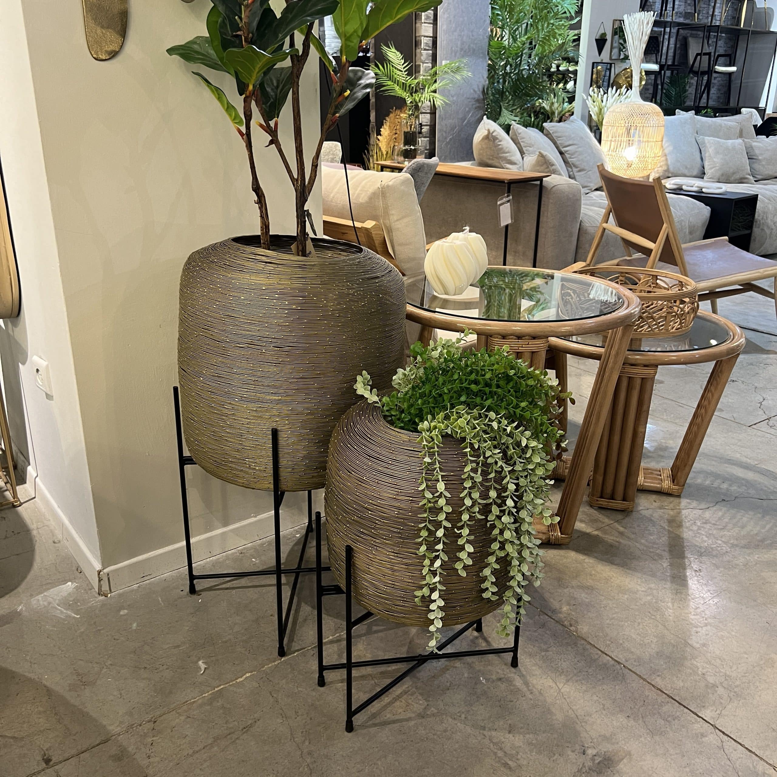 פלנטר דגם ראבי חוטי ברזל זהב עם סטנד