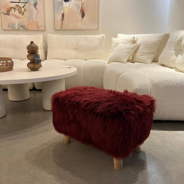 הדום פרווה - אחרון מתצוגה!