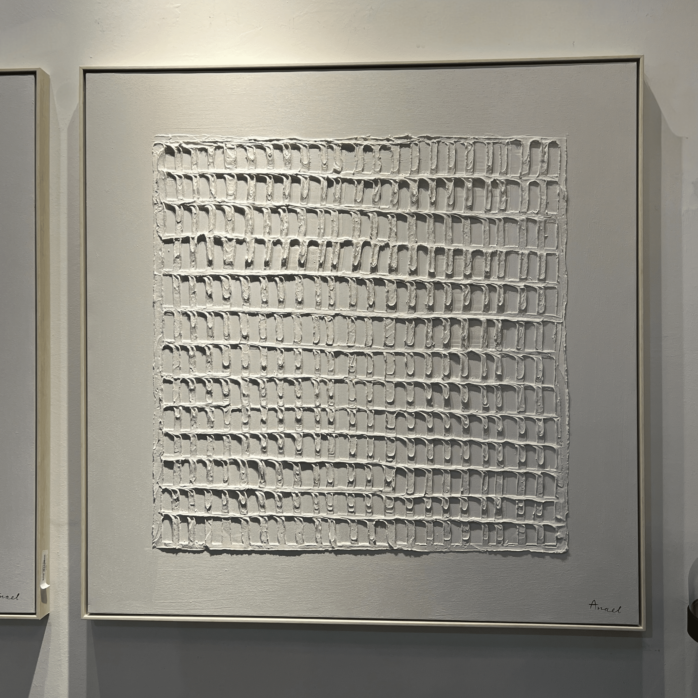 תמונה אנאל דגם R בשילוב תבליט בד תמונה אנאל דגם R בשילוב תבליט בד