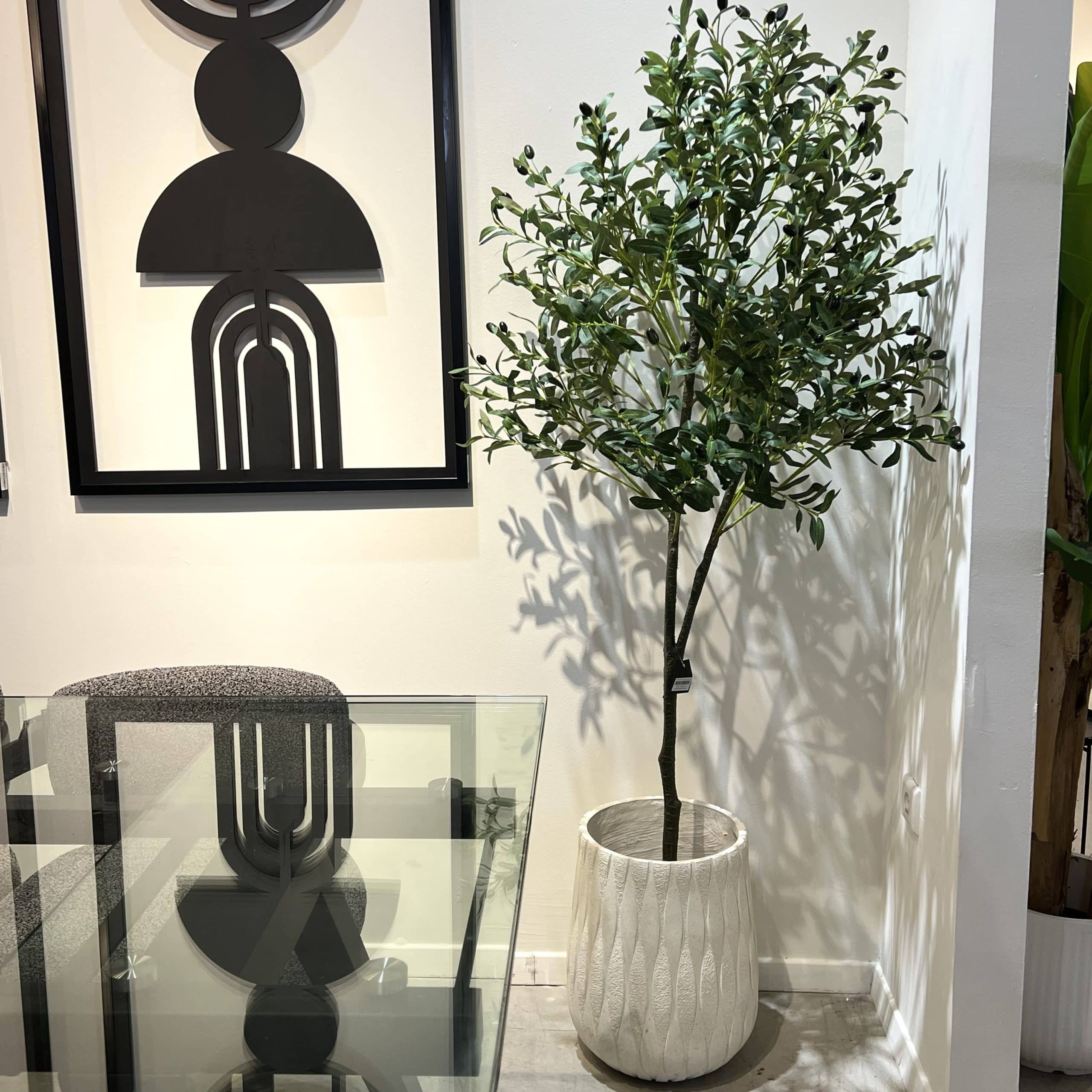 עץ עציץ זית ירוק גובה 170 דגם איקו