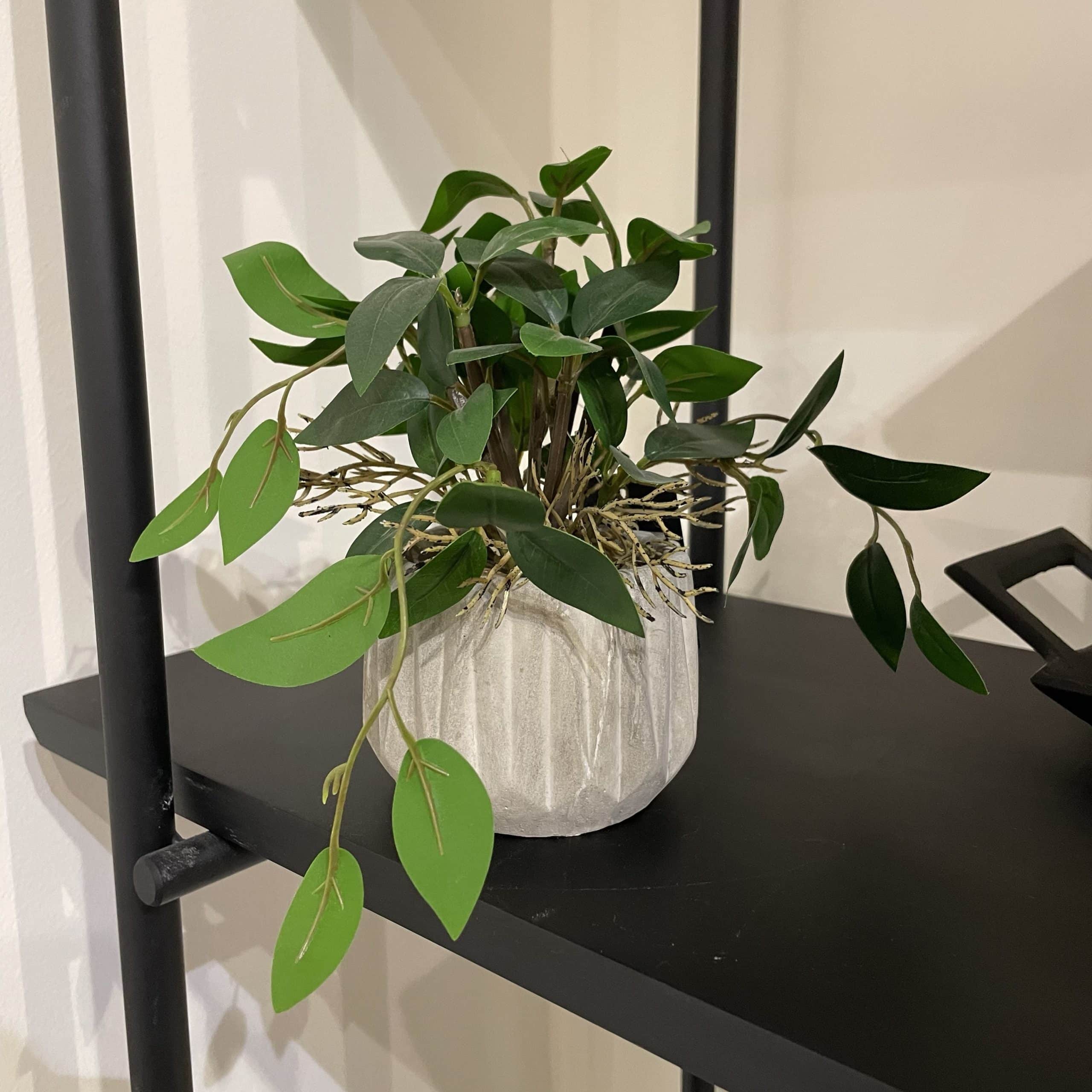 עציץ מיני כלי בטון עלים ירוקים דגם איקו עציץ מיני כלי בטון עלים ירוקים דגם איקו