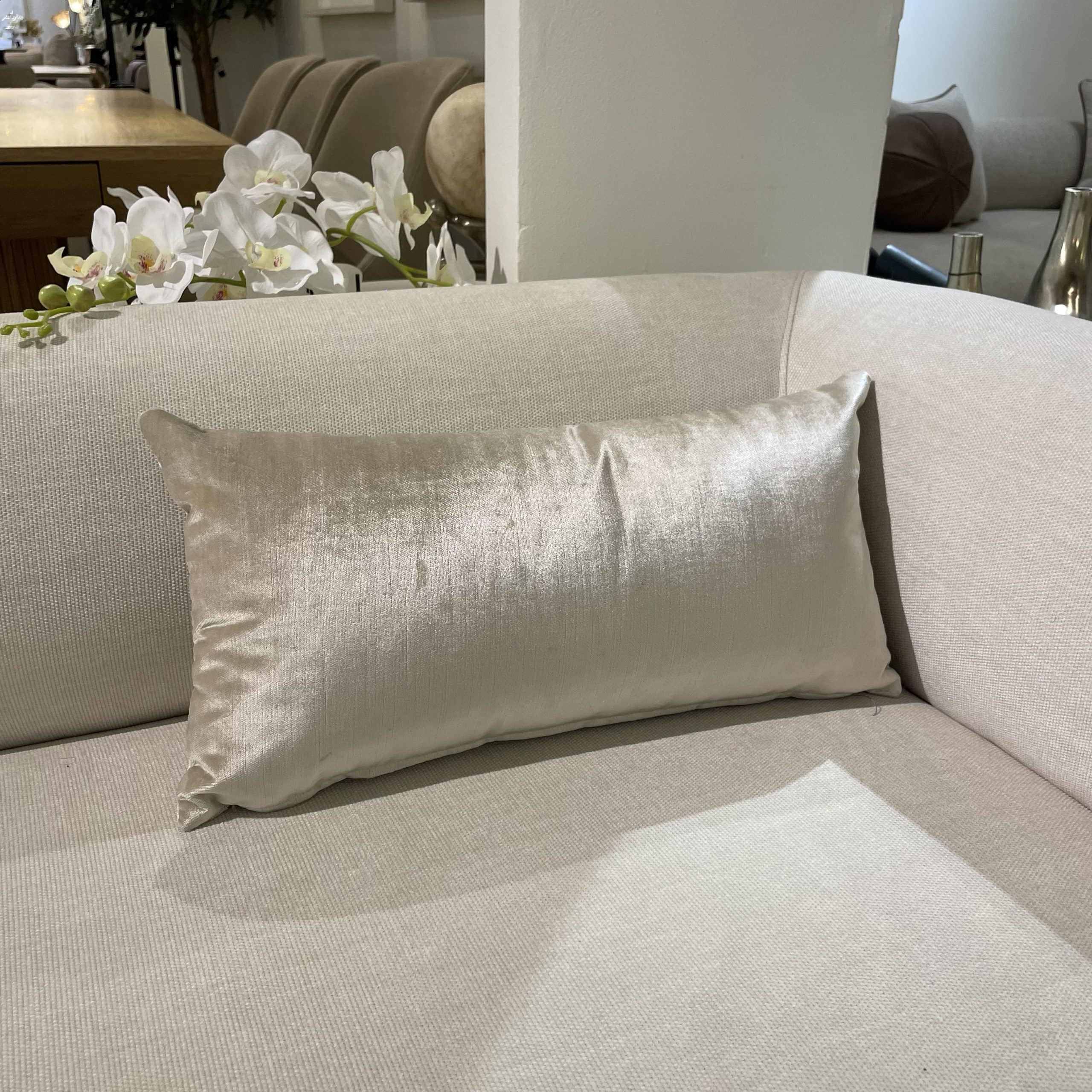 כרית מלבנית שמפניה 50/25 ס״מ - אחרונה!