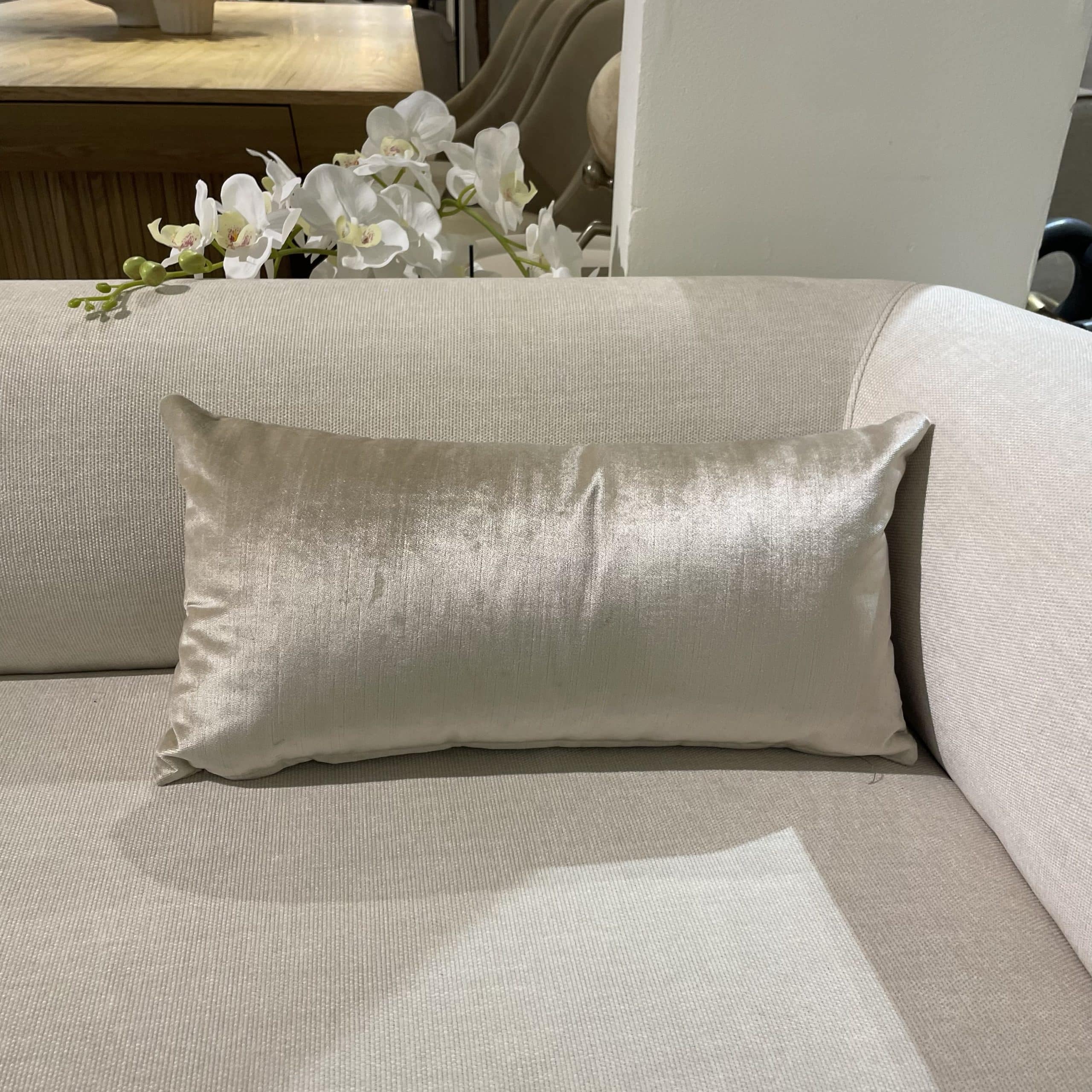 כרית מלבנית שמפניה 50/25 ס״מ - אחרונה!