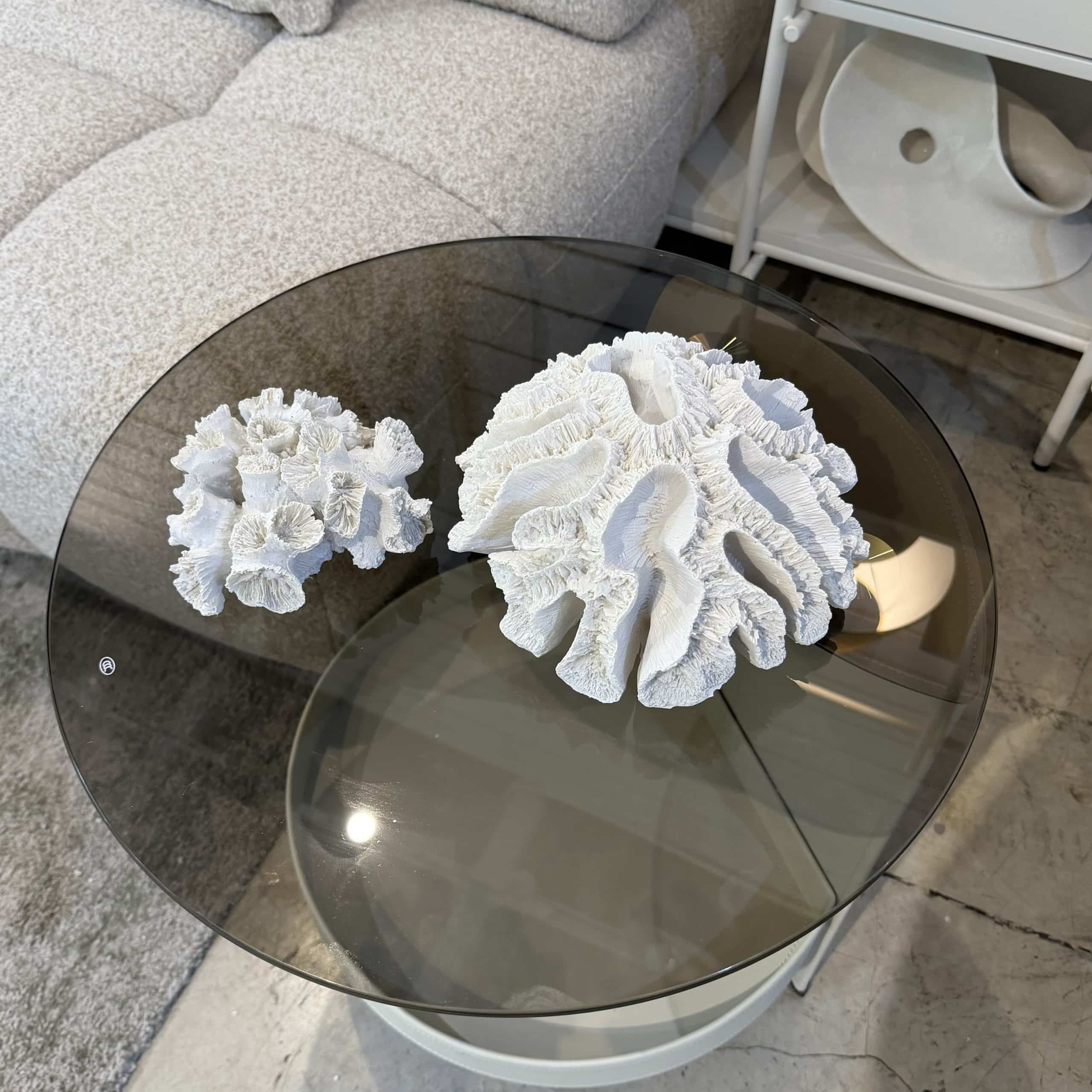 דקורציה אלמוג בינוני חלק לבן שבור דגם סופיה