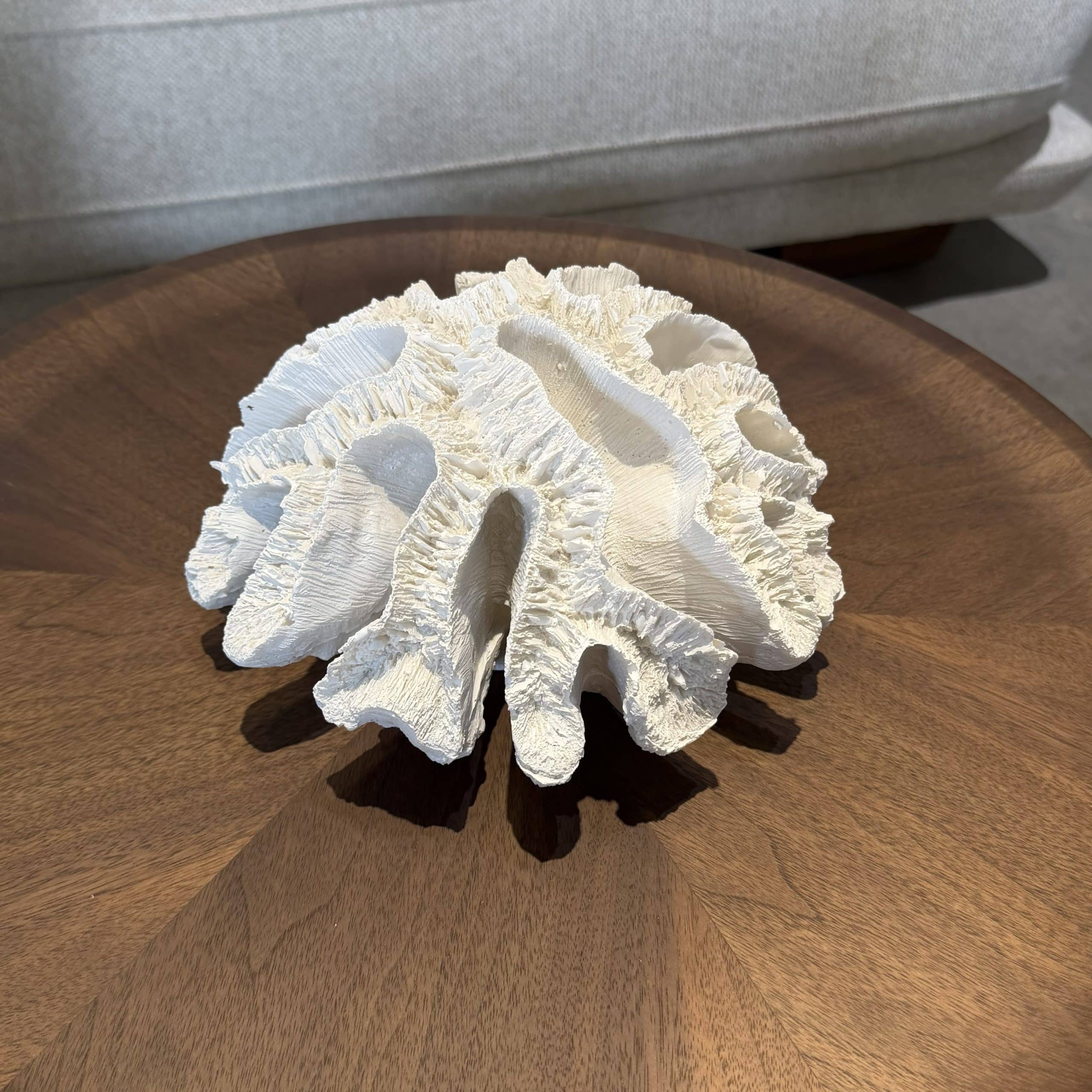 דקורציה אלמוג בינוני חלק לבן שבור דגם סופיה