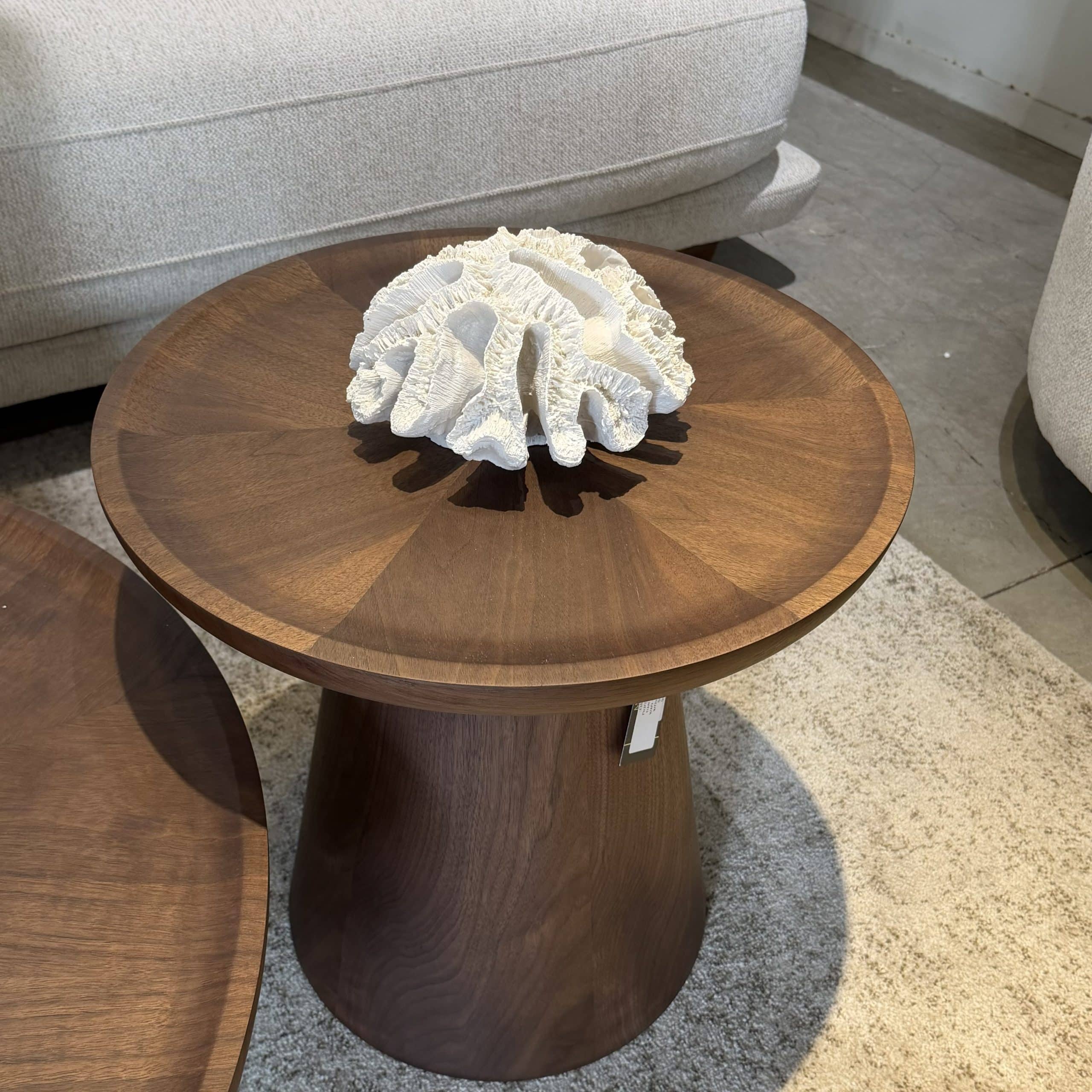 דקורציה אלמוג בינוני חלק לבן שבור דגם סופיה