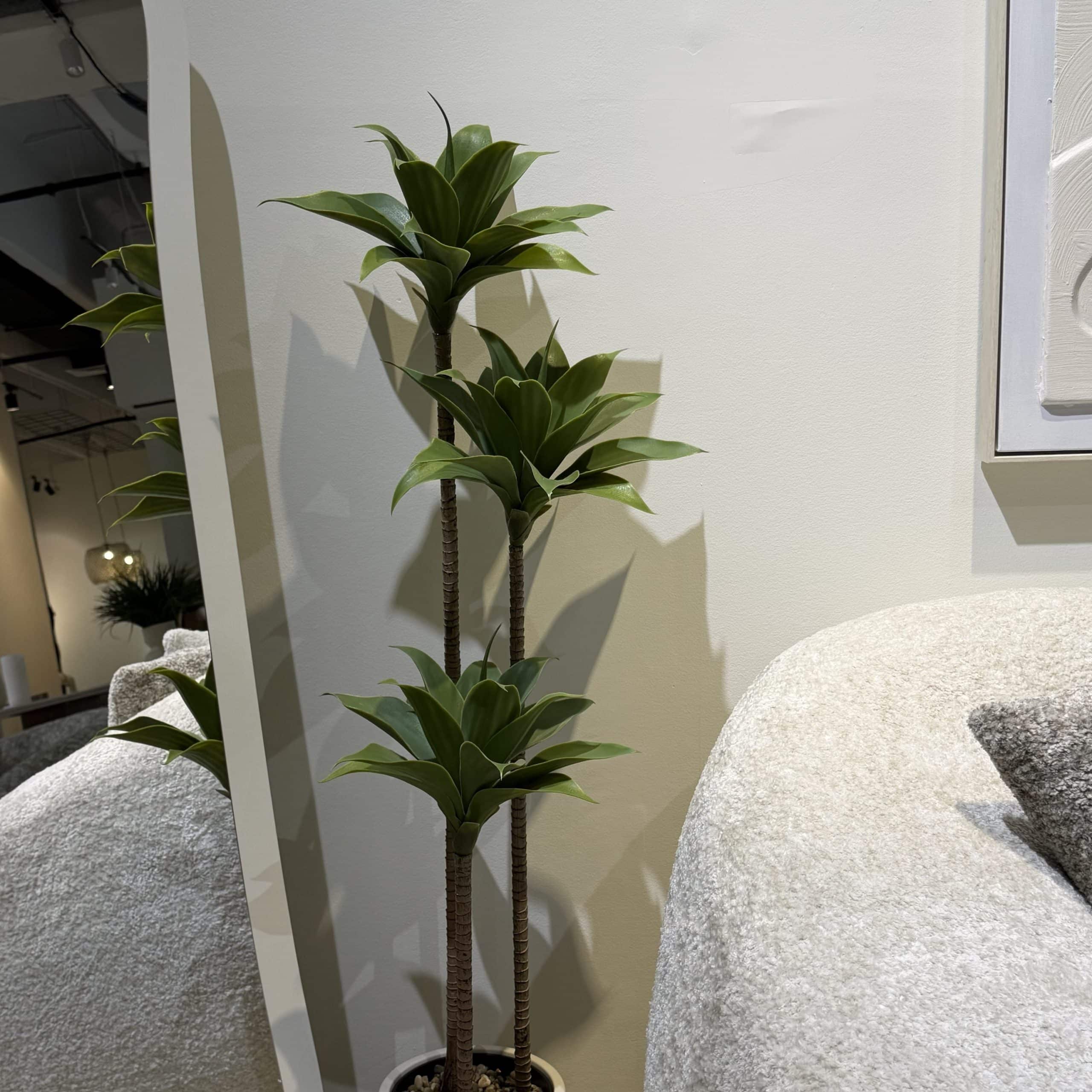 עץ עציץ אגבה ירוק חום 3 קנים 85 ס״מ דגם סופיה | ניתן לבחור עם / בלי כד