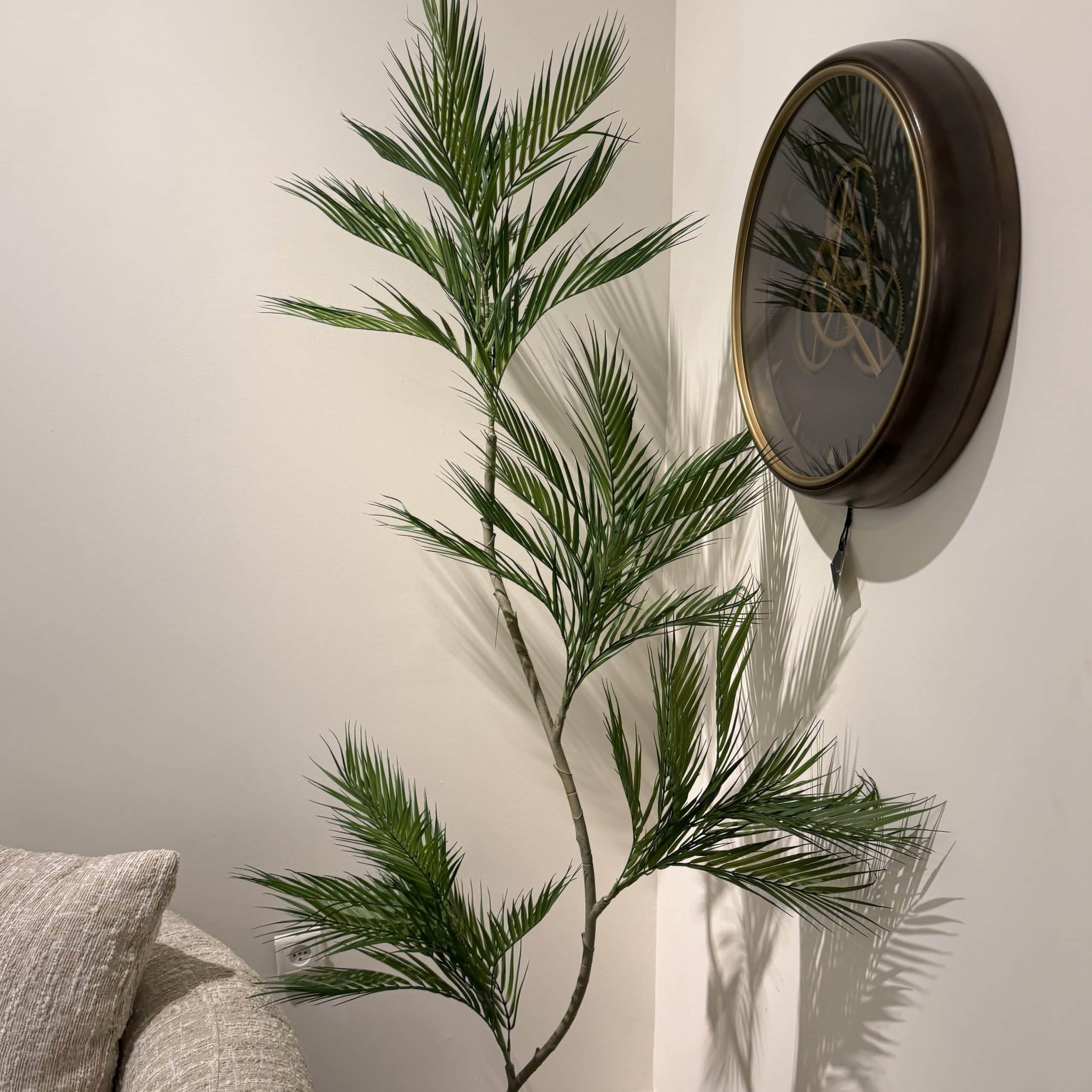 עץ עציץ דקל 3 קנים 1.8 מ׳ דגם סופיה